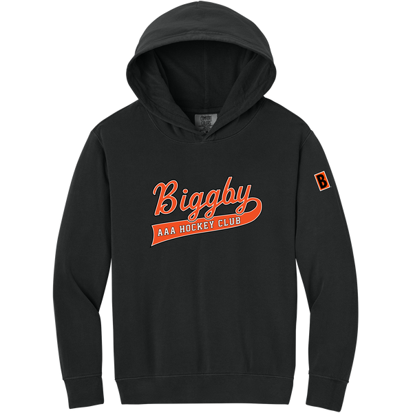 Biggby AAA Youth Lightweight Hooded Sweatshirt
