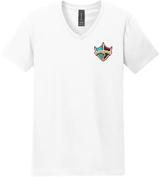 Delaware Ducks Softstyle V-Neck T-Shirt