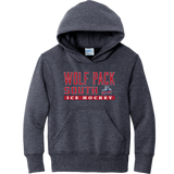 CT Wolfpack South Youth Core Fleece Pullover Hooded Sweatshirt