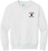 Philadelphia Blazers Youth Core Fleece Crewneck Sweatshirt (E1266-LC)